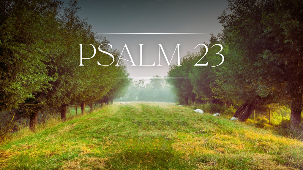 Psalm 23